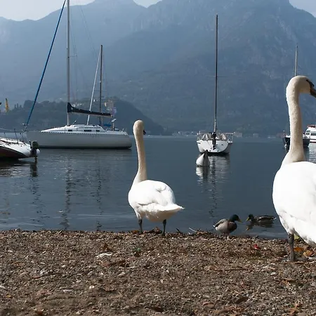 La Casa Nella Corte Lecco